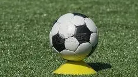 问鼎娱乐官方网站 资讯 090847 k0f