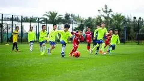 问鼎娱乐官方网站 资讯 084952 dg2